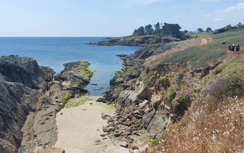La Sardinerie de la Crique de Porsac'H: Krop Af Vand, Rots, Kyst, Terræn, Headland, Coastal Og Oceaniske Landskabsformer, Landskab, Kyst, Økoregion