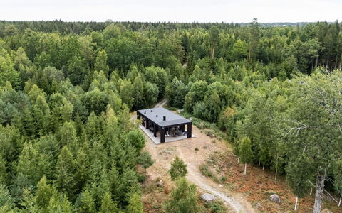 Paradiset 2: Træ, Skov, Plantesamfund, Woodland, Lund, Lærk, Tropisk Og Subtropisk Nåleskov