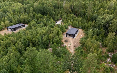 Paradiset 2: Træ, Skov, Landskab, Land Lot, Plantation, Woodland, Lærk, Jungle