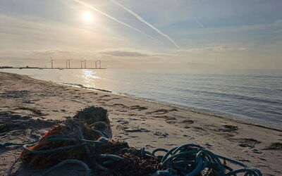 Fridel - 400M from the Sea