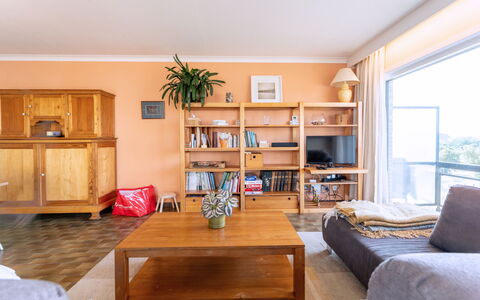 Zandstuyver with Balcony: Møbel, Indretning, Gulvbelægning, Etage, Træ, Loft, Værelse, Trægulve, Reoler, Stue