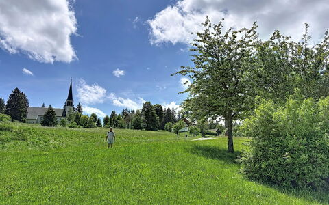 Sonne: Blå, Grøn, Græs, Træ, Naturligt Miljø, Blad, Græs-, Sky, Vegetationen, Sommer