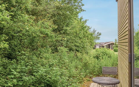 Anabel - 800M from the Sea: Blad, Vegetationen, Afdeling, Busk, Plantesamfund, Kvist, Sollys, Have, Skygge, Backyard