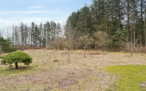 Algeth - 2.5Km from the Sea: Træ, Naturligt Miljø, Naturlige Landskab, Græs-, Almindeligt, Land Lot, Plantesamfund, Jord, Pasture
