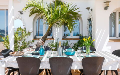 Lotus: Møbel, Bord, Indretning, Stol, Køkken & Spisebord, Spisestue, Blomsterkrukke, Hjem, Restaurant, Stueplante