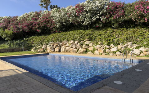 Tramuntana Ii: Svømmepøl, Busk, Have, Udvej, Landscaping, Fritid, Skygge, Water Feature, Backyard, Gård