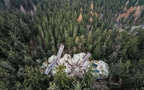 Rokytnice Nad Jizerou 2: Skov, Lærk, Tropisk Og Subtropisk Nåleskov, Jungle, Evergreen, Woodland