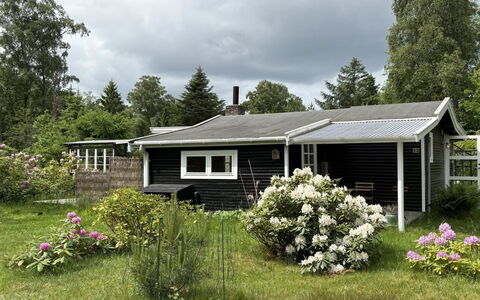Nis - 1.4Km from the Sea: Bygning, Græs, Hus, Tag, Hjem, Busk, Sommerhus, Arkitektur, Boligområde
