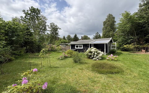 Nis - 1.4Km from the Sea: Græs, Hus, Busk, Hjem, Sommerhus, Tag, Land Lot, Landdistrikt, Have