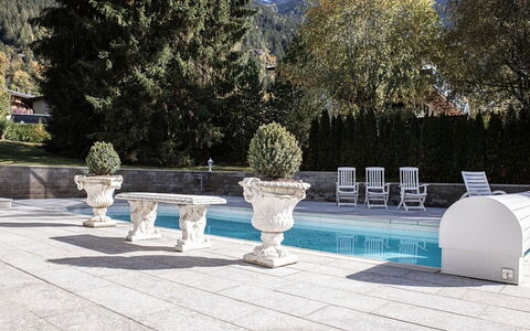 Villa 10: Bjergkæde, Alps, Svømmepøl, Water Feature, Blomsterkrukke, Stueplante, Udendørs Møbler