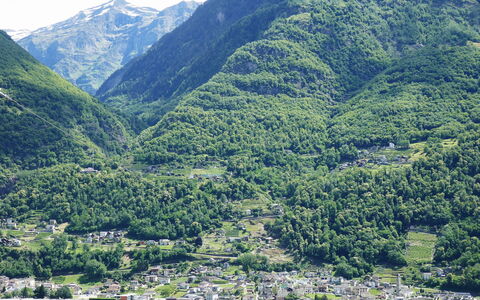 Sara: Vindue, Facade, Sidespor, Sommerhus, Skydevindue, Maling, Lærk