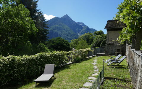 Sara: Vindue, Facade, Sidespor, Sommerhus, Skydevindue, Maling, Lærk