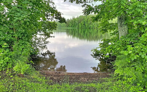 Sjöarpstugan: Vand, Krop Af Vand, Natur, Naturligt Miljø, Naturlige Landskab, Vegetationen, Bank, Vandløb, Plantesamfund