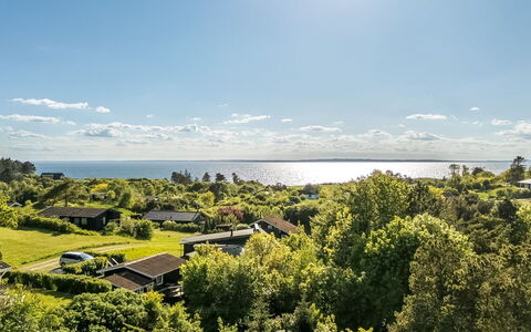 Blagica - 600M from the Sea: Vegetationen, Landskab, Busk, Plantesamfund, Land Lot, Landdistrikt, Sommerhus, Ocean, Estate, Shrubland