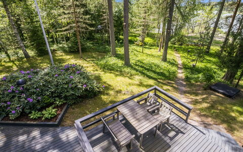 Rustholli17: Træ, Busk, Plantesamfund, Land Lot, Bunddække, Planke, Have, Skov, Hårdttræ, Dæk