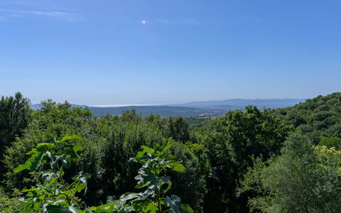 Cuculo: Himmel, Blå, Blad, Daytime, Natur, Grøn, Naturligt Miljø, Vegetationen, Naturlige Landskab, Økoregion