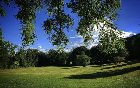 Villa Veneta - Historic Villa in the Prosecco Hill: Blå, Græs, Blad, Daytime, Grøn, Natur, Træ, Afdeling, Naturligt Miljø, Vegetationen
