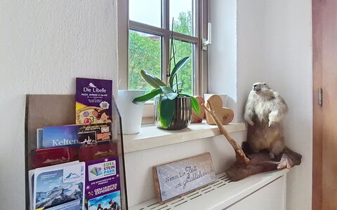 Boutique Appartement Tauernblick: Indretning, Møbel, Reoler, Værelse, Hylde, Stueplante, Blomsterkrukke, Billedramme