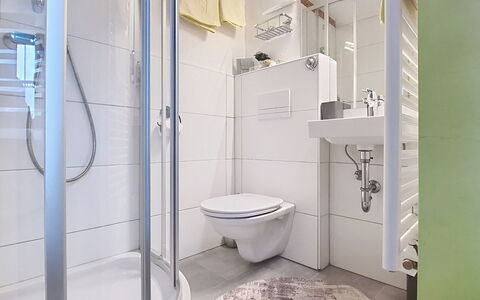 Boutique Appartement Tauernblick: Indretning, Gulvbelægning, Etage, Værelse, Loft, Lejlighed, Sanitærarmatur, Badeværelse, Vvs, Toilet