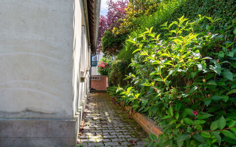 Villerville: Grøn, Busk, Forår, Bunddække, Have, Mursten, Walkway, Landscaping, Fortov