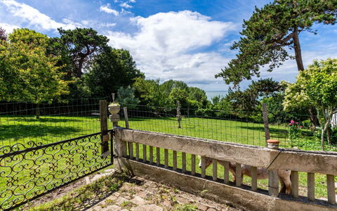 Villerville: Hegn, Sollys, Have, Skygge, Baluster, Home Fencing, Landscaping, Gelænder, Parkere, Skygge