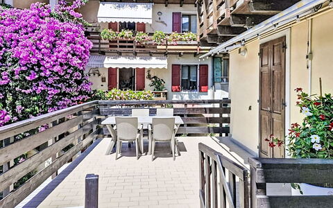 Edera: Blomst, Altan, Blomsterhandlere, Stueplante, Hotel