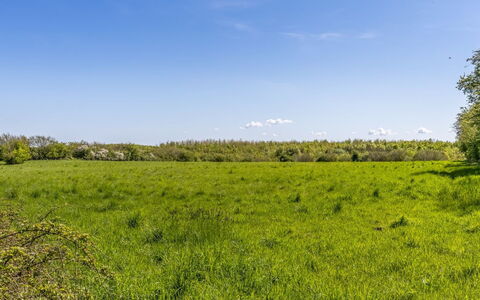 Susianna - 550M from the Sea: Himmel, Blå, Grøn, Daytime, Græs, Græs-, Naturligt Miljø, Vegetationen, Naturlige Landskab, Økoregion