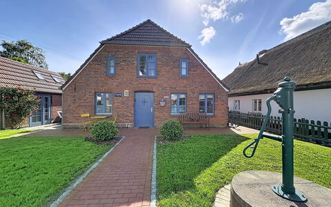 Dat Fischerhus: Tag, Hus, Boligområde, Hjem, Sommerhus, Landdistrikt, Estate, Indkørsel, Forstad, Landscaping
