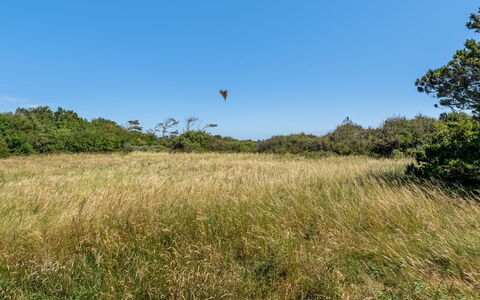 Toska - 800M from the Sea: Båd, Vandfartøjer, Marina, Skibskonstruktion, Skib, Havn, Både Og Sejlsport - Udstyr Og Materiel, Dok, Havn, Yacht