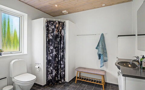 Zelda - 275M from the Sea: Gulvbelægning, Sanitærarmatur, Træ, Etage, Badeværelse, Indretning, Vvs, Toilet, Toiletbræt, Håndvask