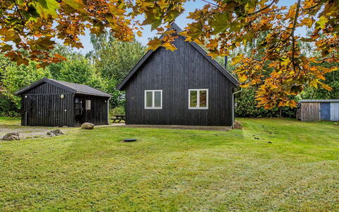 Zelda - 275M from the Sea: Græs, Blad, Træ, Hus, Landskab, Landdistrikt, Land Lot, Sommerhus, Hjem, Almindeligt