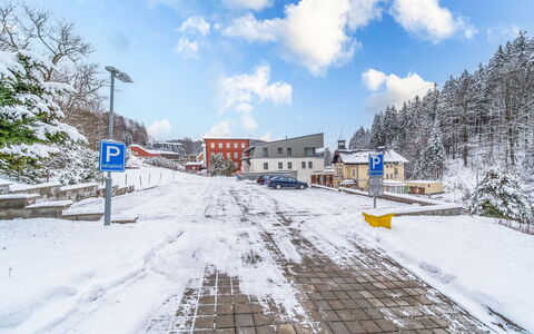 Janské Lázně 6: Udvej, Estate, Hacienda, Altan, Ferieby, Svømmepøl, Hotel, Badeby, Landscaping