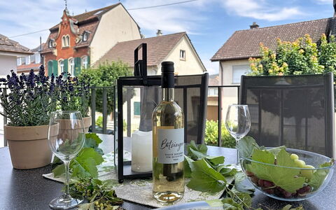 Endingen am Kaiserstuhl 100: Flaske, Glas Flaske, Glas, Blomsterkrukke, Vinflaske, Stueplante, Vin