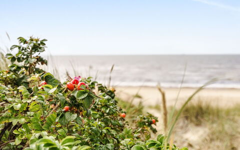 Odal: Kyst, Sommer, Sky, Coastal Og Oceaniske Landskabsformer, Hav, Strand, Kyst, Ocean, Frugt, Tropics