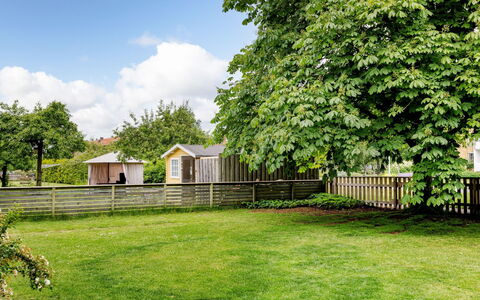 Odal: Græs, Busk, Have, Lawn, Bunddække, Skygge, Backyard, Gård, Garden Bygninger, Parkere