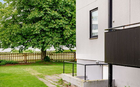 Odal: Væg, Lawn, Hegn, Have, Backyard, Home Fencing, Gård, Skygge, Landscaping, Gelænder