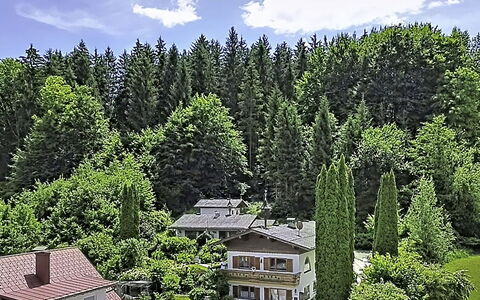 Velden am Wörthersee 39: Træ, Hus, Busk, Hjem, Sommerhus, Tag, Lærk, Skov, Have, Estate