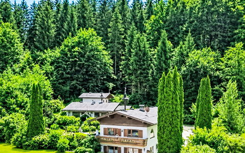 Velden am Wörthersee 39: Træ, Busk, Skov, Hjem, Have, Sommerhus, Lærk, Hill Station, Landscaping