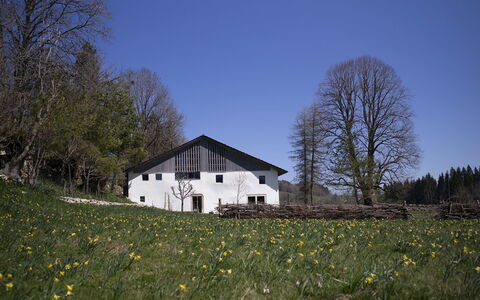 Appartements - N°5 et N°5B: Græs, Træ, Hus, Hjem, Landdistrikt, Sommerhus, Land Lot, Menneskelig Bosættelse, Stuehus, Eng