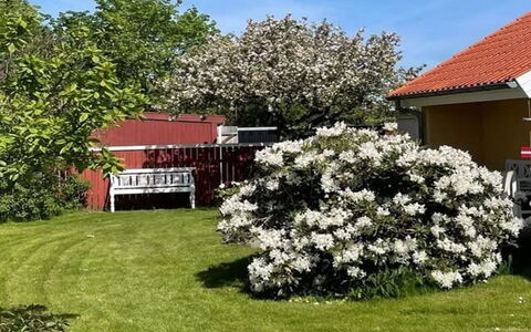 Sunaj - 350M from the Sea: Blomst, Busk, Have, Bunddække, Forår, Blomstrende Plante, Landscaping, Lawn, Gård, Backyard