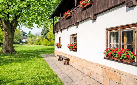 Máchova Roubenka: Sommerhus, Have, Lawn, Landscaping, Gård, Stuehus, Bejdse, Backyard, Stueplante, Hegn