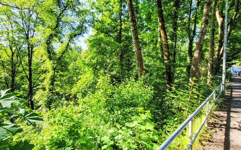 Villa Emma und Lotte: Træ, Møbel, Stol, Hav, Lejlighed, Altan, Ocean, Skygge, Udendørs Møbler, Bejdse
