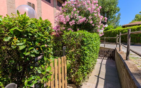La Molletta: Blomst, Busk, Lyserød, Have, Forår, Gård, Landscaping, Backyard, Hegn