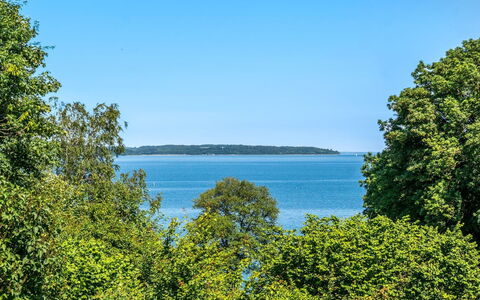 Leea - 100M from the Sea: Blå, Vand, Vandressourcer, Krop Af Vand, Grøn, Blad, Vegetationen, Naturlige Landskab, Sommer, Horisont