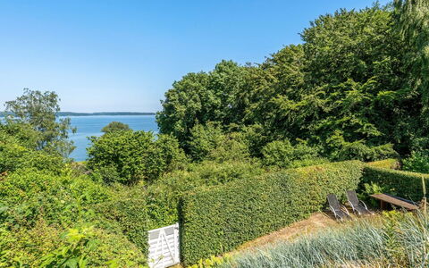 Leea - 100M from the Sea: Blå, Grøn, Blad, Vegetationen, Busk, Plantesamfund, Coastal Og Oceaniske Landskabsformer, Hæk, Bunddække, Hav