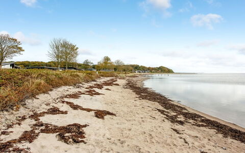 Aslak - 25M from the Sea: Svømmepøl, Boligområde, Thermae, Udvej, Kompositmateriale, Fritid, Estate, Kunstgræs, Hacienda, Villa