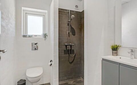 Øthi - 200M to the Fjord: Gulvbelægning, Etage, Sanitærarmatur, Badeværelse, Indretning, Badeværelsesskab, Vvs, Loft, Toilet, Tap
