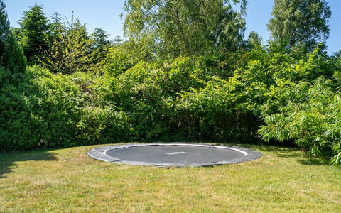 Lagho - 400M from the Sea: Græs, Have, Lawn, Trampolin, Parkere, Skygge, Evergreen