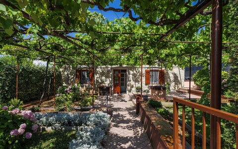 Lado Mediterraneo: Møbel, Udendørs Møbler, Stol, Skygge, Udendørs Bord, Stueplante, Gårdhave, Gård, Design, Altan