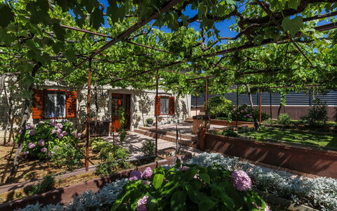 Lado Mediterraneo: Møbel, Udendørs Møbler, Stol, Skygge, Udendørs Bord, Stueplante, Gårdhave, Gård, Design, Altan